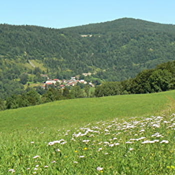 Les Cuisiniers - MORBIER