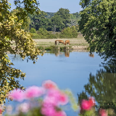 Du val de Besbre au val de Loire