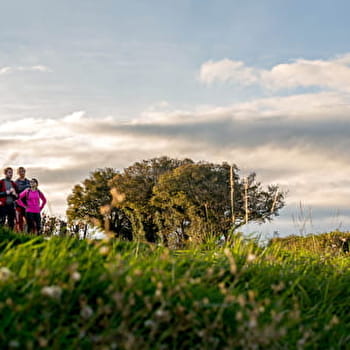 Sur les crêtes de Plottes - PLOTTES