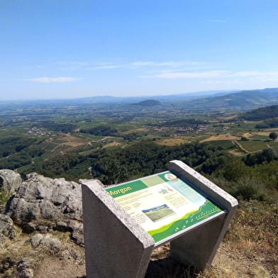 Sentier découverte de la Terrasse de Chiroubles