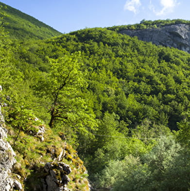 Le Dragon Sous-Roche