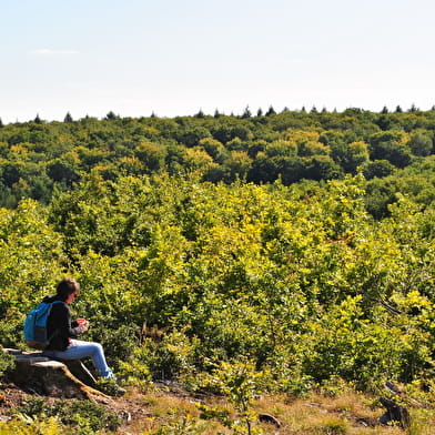 Le chemin des Vallées
