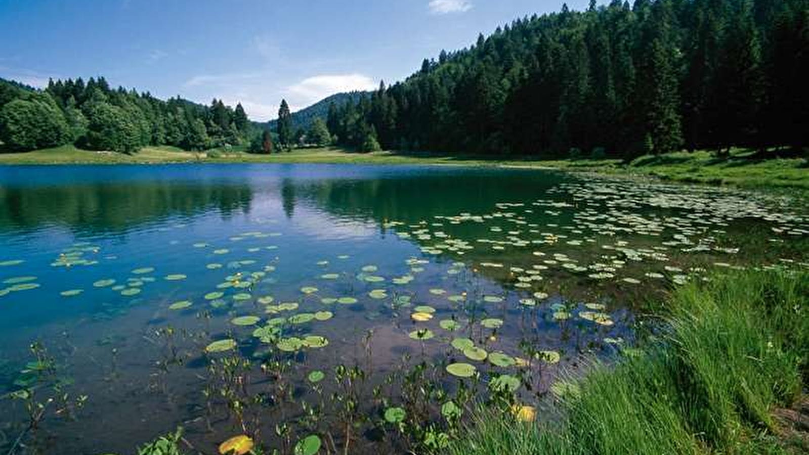 Randonnée - Le lac Genin