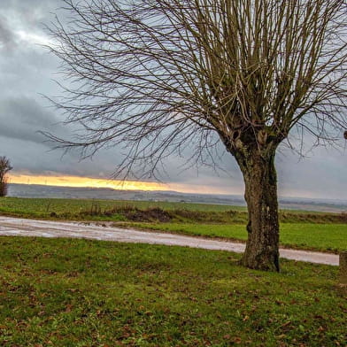 Panoramas et table d'orientation à Perreuse