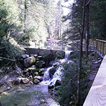 Dans la forêt, coule la Sarsouille - Parcours marche nordique n°1 - OYONNAX