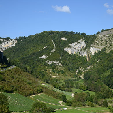 Circuit des grottes et des vignes à Cerdon