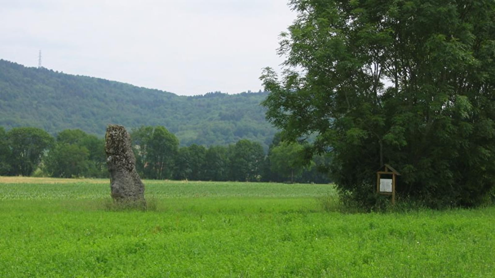 Menhir de Pierre et gués du Suran