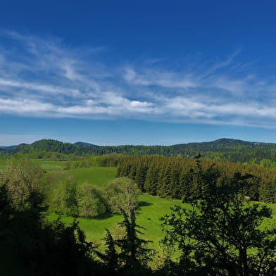 Circuit vélo : D'un plateau à l'autre