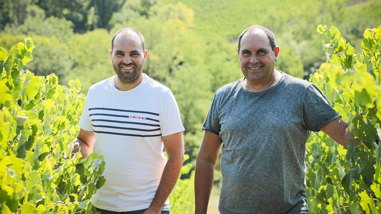 Aimé Bernard & Fils