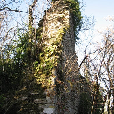 Randonnée - Les crêtes et ruines de la maison forte de Lomont