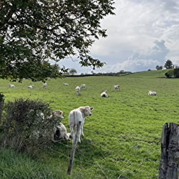 Du poirier au Budin - VAUX-EN-PRE