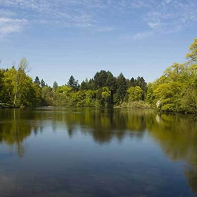 Contrefort du Charollais - DL02