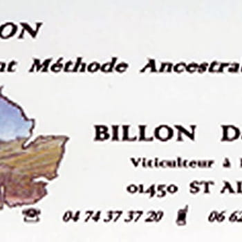 Caveau Daniel Billon - SAINT-ALBAN