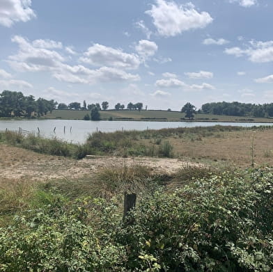 Randonnée : Sentier des Sources libres