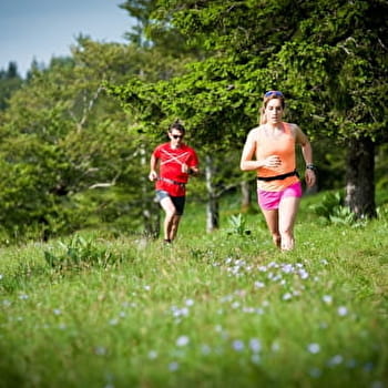 Les Diots - 4B - SEPTMONCEL LES MOLUNES