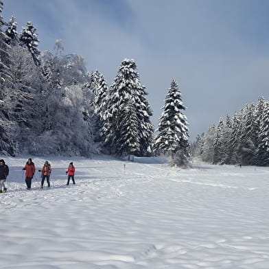 Liaz d'Amont depuis La Praille - Circuit raquettes