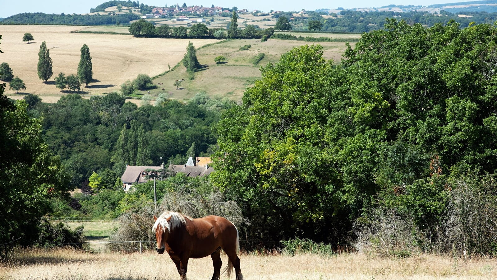 Parcours Découverte du Géorama