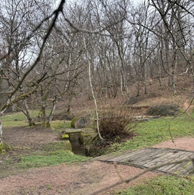 Balade Verte - Le Chêne à La Dame (CH 1)