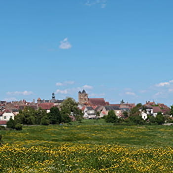 Découvrir Tannay - TANNAY