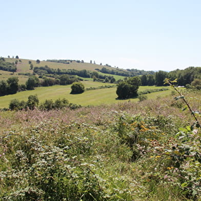 Tour du plateau d'Arnans - Crête des Trénoz