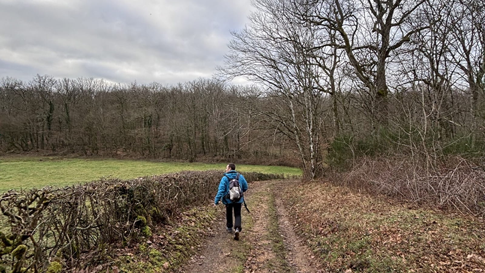 Balade Verte - Le Chêne à La Dame (CH 1)
