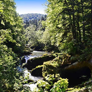 Tour des Pertes de l'Ain