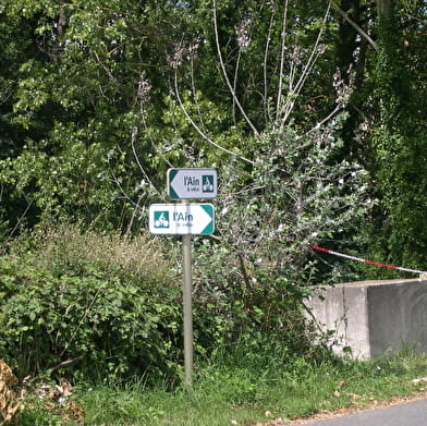 Itinérance L'Ain à Vélo - Au pays de la volaille de Bresse (1 à 2 jours)