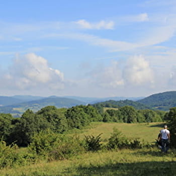 Les Trénos et Cuvergnat - NIVIGNE ET SURAN