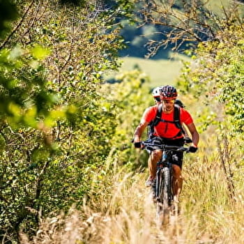 La Forêt de Bonnefontaine - 3B - BONNEFONTAINE