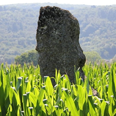 Menhir de Pierre et gués du Suran