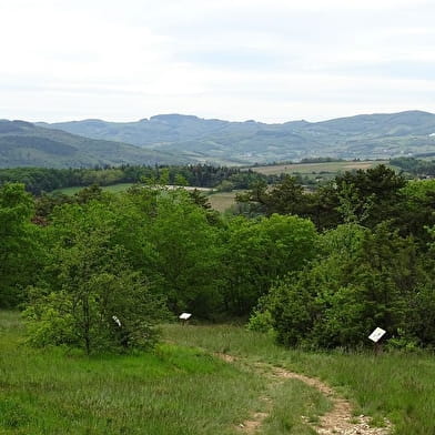 La Lande de Nancelle