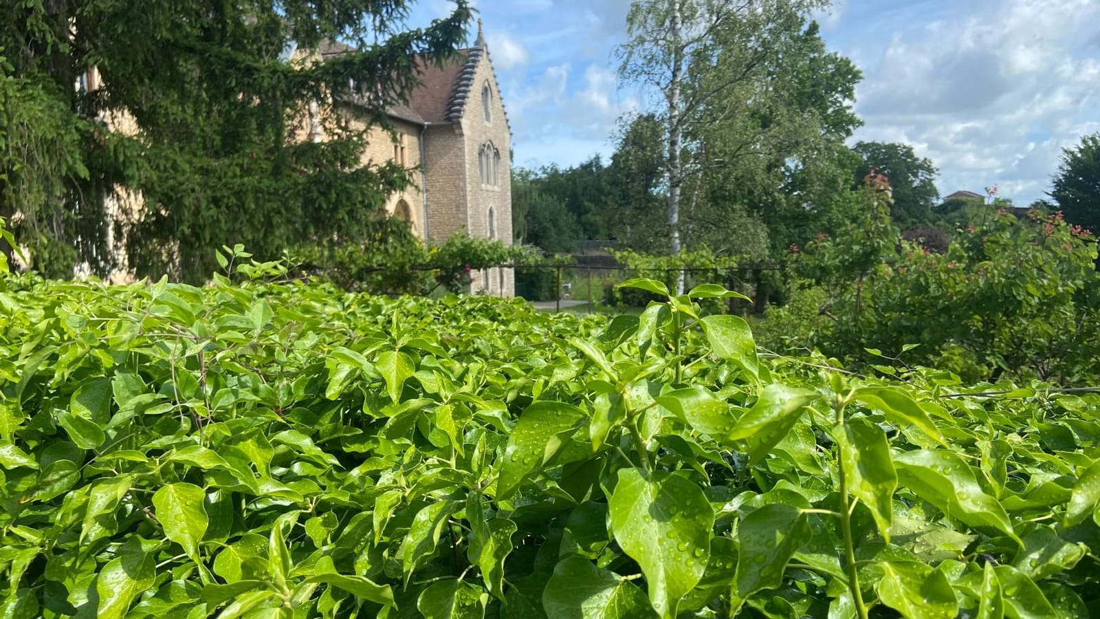 Des merveilles colorées de l'église Saint-Martin à la sérénité du Carmel Saint-Joseph