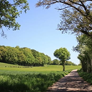 Circuit des roches de la Digeanne - SAINT-BROING-LES-MOINES