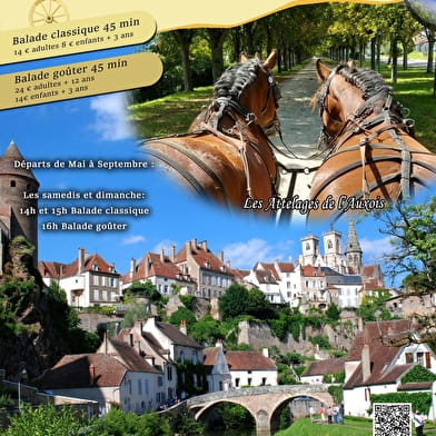 Promenades en calèche à Semur-en-Auxois