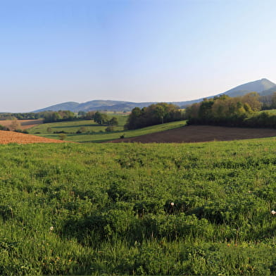 La Grange du Pin : Circuit pédestre n°1
