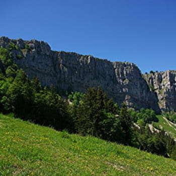 Sous les falaises du Mont d'Or - JOUGNE