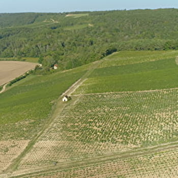 Trail de Tanlay Raidlight - TANLAY