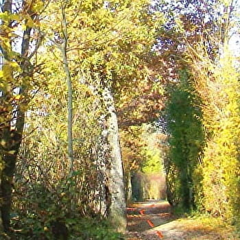 Sentier piétonnier Pierre Poivre - VILLARS-LES-DOMBES
