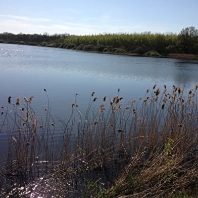 GR® de Pays - Beaujolais-Bugey par la Dombes