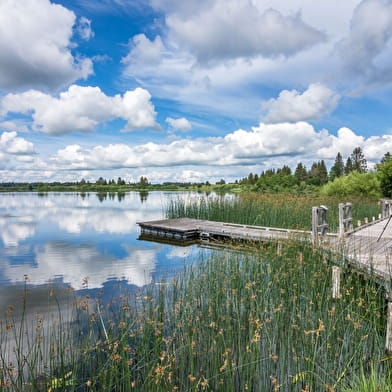 Découverte des Rives du lac de Bouverans
