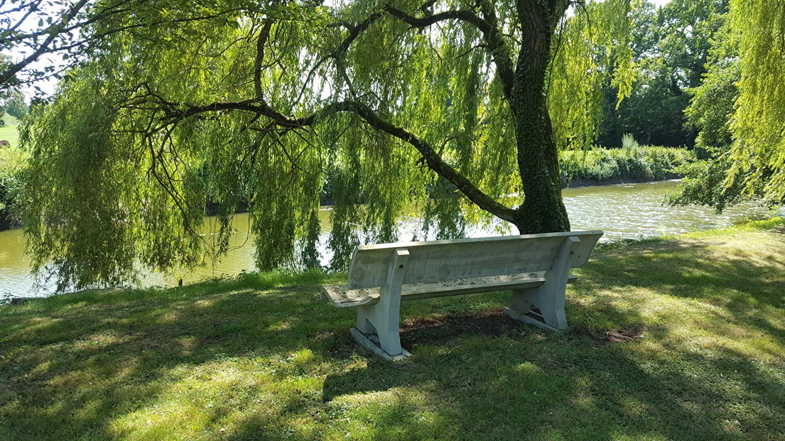 Circuit VTT-VTC n°20 (rouge) Les Hauts de Servignat - Coq de Mantenay
