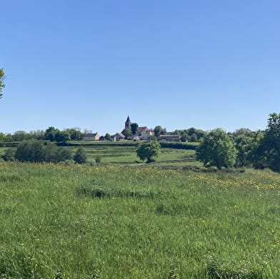 Boucle Loire / Cercy - Charrin - Montambert - Fours