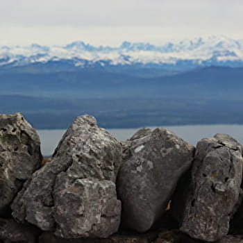 Randonnée pédestre : le Fleutron la Dole - DIVONNE-LES-BAINS