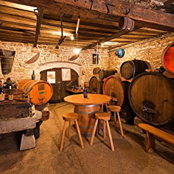 Domaine Daniel Dugois - LES ARSURES