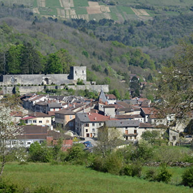 Sentier 'la Colombière Neuville - Montigneux' à Poncin