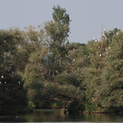 Circuit randonnée : L'ile de la Motte