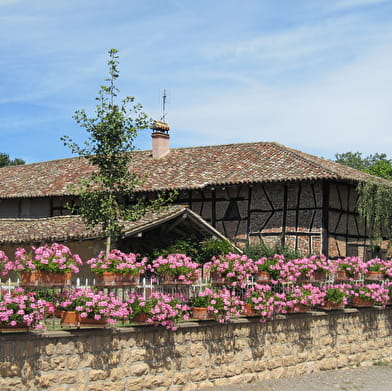 Circuit randonnée : entre bois et rivière