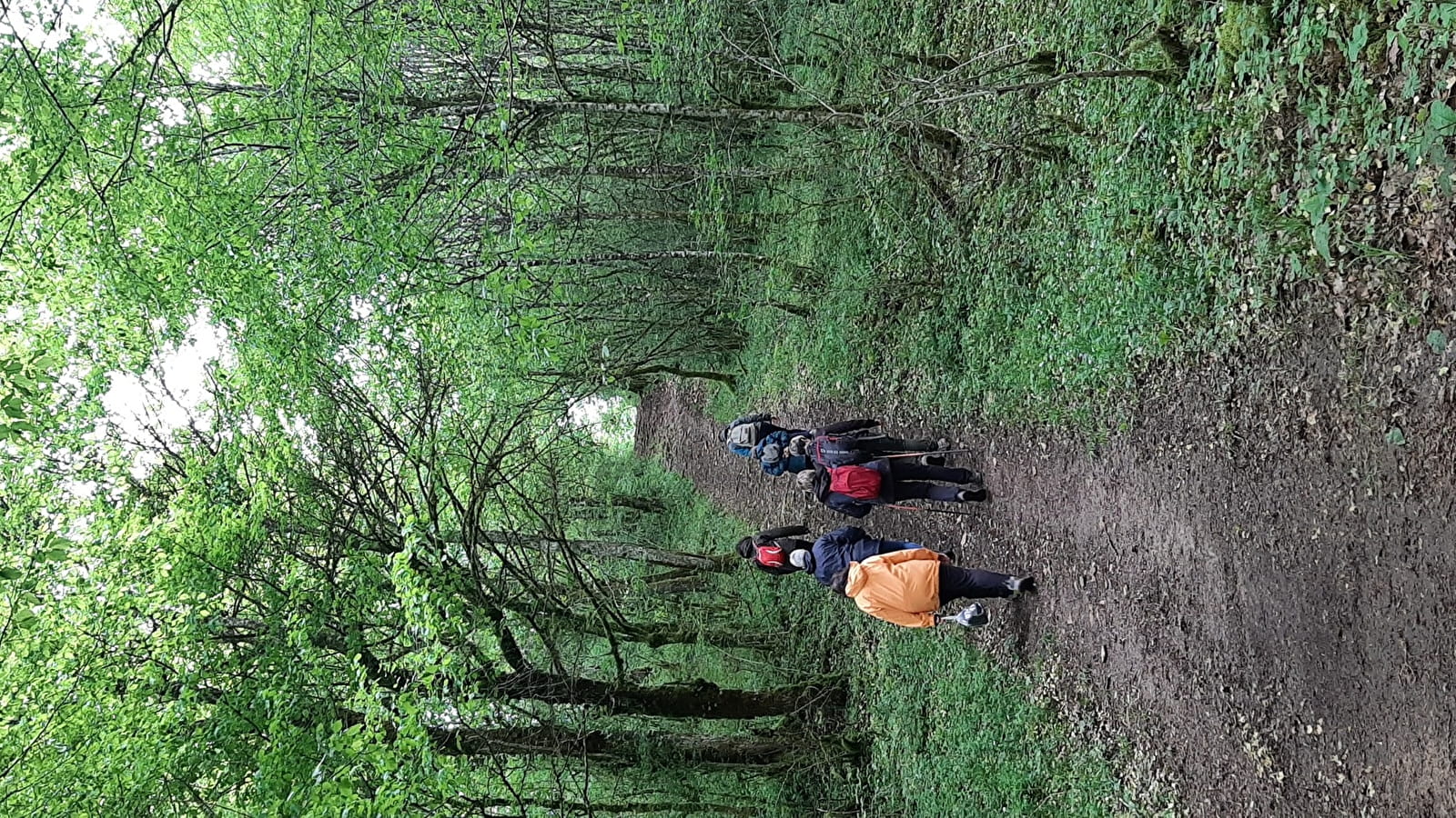 Circuit pédestre de Fontenelay