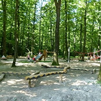 Balade et parcours d'activités en forêt de Seillon - PERONNAS