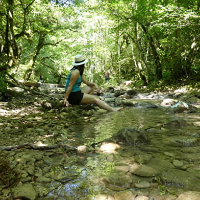 Sentier de balade : la Pernaz sauvage